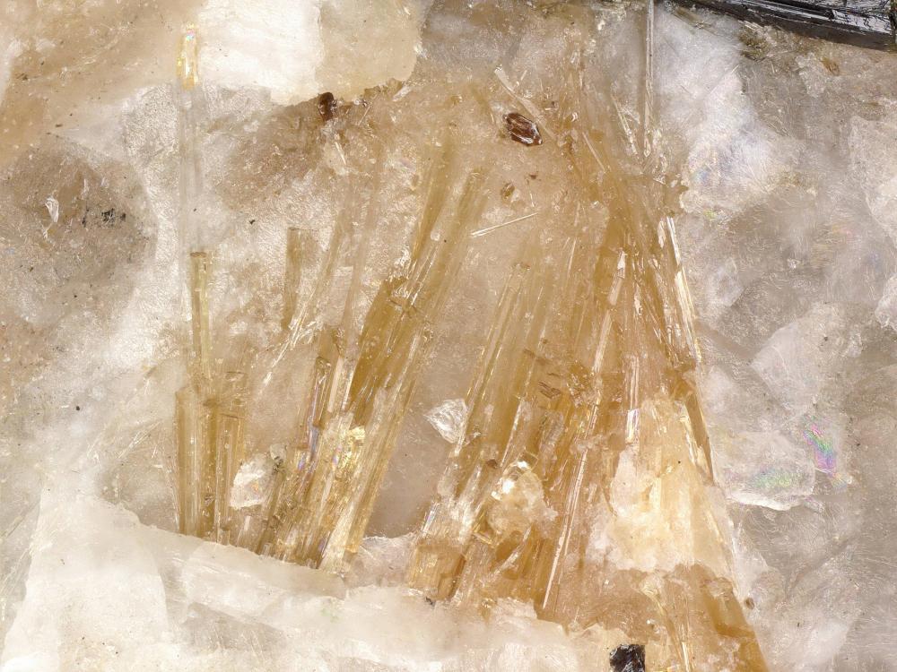 Fluorlamprophyllite